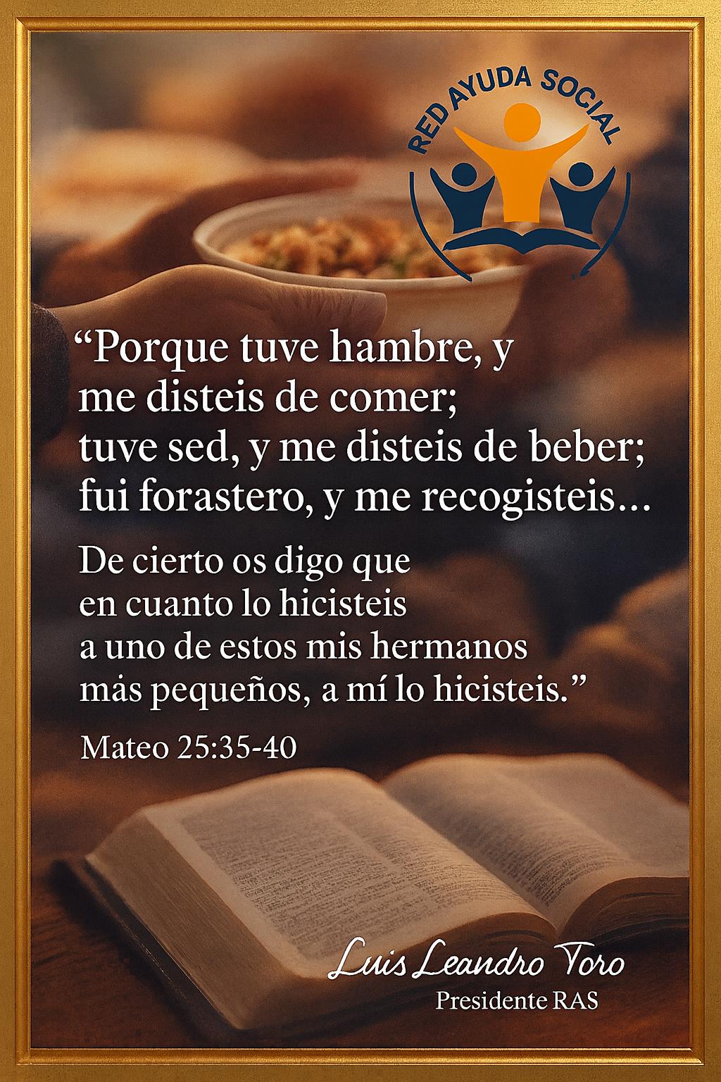 Guía básica para entender las diferentes Biblias de estudio